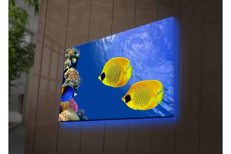 Lerretsbilde med LED-belysning - Fargerike tropiske fisker som svømmer i et korallrev - Blå / Gul / Lilla - Innredning - Bilder & kunst - Lerretsbilder