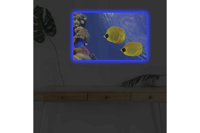 Lerretsbilde med LED-belysning - Fargerike tropiske fisker som svømmer i et korallrev - Blå / Gul / Lilla - Innredning - Bilder & kunst - Lerretsbilder