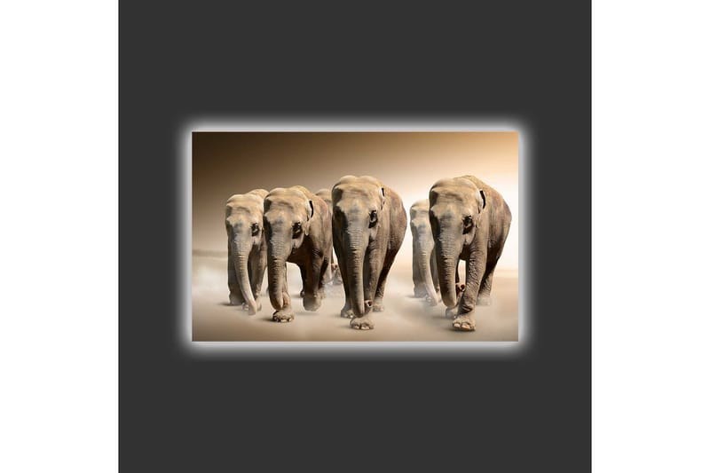 Lerretsbilde med LED-belysning - Fem elefanter som går på rad gjennom et sandete miljø - Beige / Brun / Grå - Innredning - Bilder & kunst - Lerretsbilder