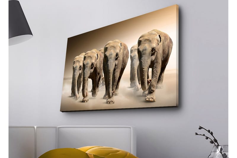 Lerretsbilde med LED-belysning - Fem elefanter som går på rad gjennom et sandete miljø - Beige / Brun / Grå - Innredning - Bilder & kunst - Lerretsbilder