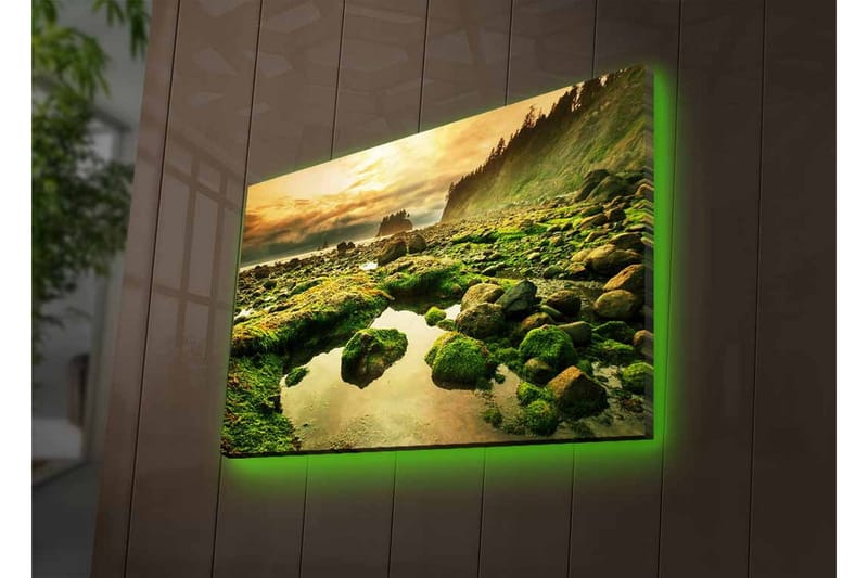 Lerretsbilde med LED-belysning - Frodig kystlandskap med klipper og speillignende vannpytter - Grønn / Brun / Gul - Innredning - Bilder & kunst - Lerretsbilder