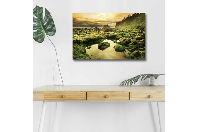 Lerretsbilde med LED-belysning - Frodig kystlandskap med klipper og speillignende vannpytter, Grønn / Brun / Gul