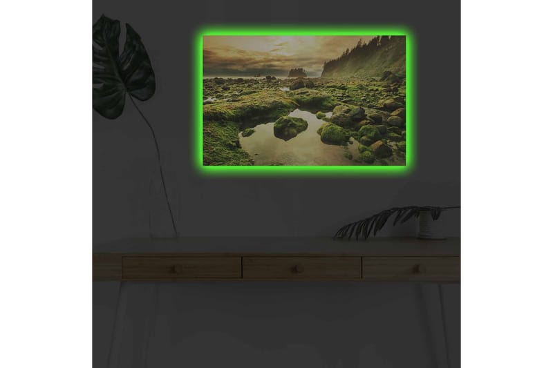 Lerretsbilde med LED-belysning - Frodig kystlandskap med klipper og speillignende vannpytter - Grønn / Brun / Gul - Innredning - Bilder & kunst - Lerretsbilder