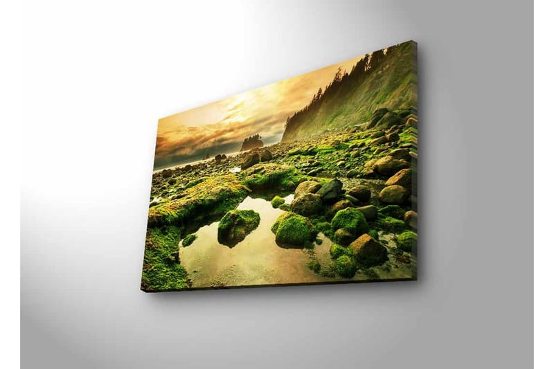 Lerretsbilde med LED-belysning - Frodig kystlandskap med klipper og speillignende vannpytter - Grønn / Brun / Gul - Innredning - Bilder & kunst - Lerretsbilder