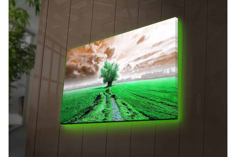 Lerretsbilde med LED-belysning - Frodig landskap med en enslig tretopp i horisonten - Grønn / Brun / Grå - Innredning - Bilder & kunst - Lerretsbilder