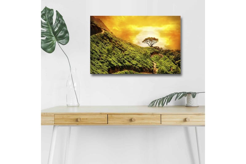 Lerretsbilde med LED-belysning - Frodig landskap med en ensom tretopp mot en gyllen himmel - Grønn / Gull / Brun - Innredning - Bilder & kunst - Lerretsbilder