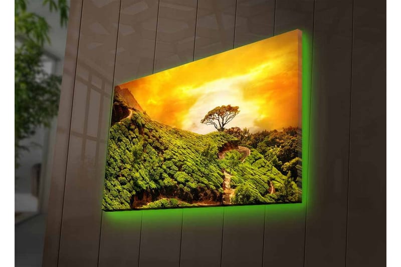 Lerretsbilde med LED-belysning - Frodig landskap med en ensom tretopp mot en gyllen himmel - Grønn / Gull / Brun - Innredning - Bilder & kunst - Lerretsbilder