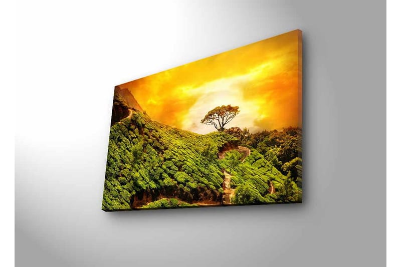 Lerretsbilde med LED-belysning - Frodig landskap med en ensom tretopp mot en gyllen himmel - Grønn / Gull / Brun - Innredning - Bilder & kunst - Lerretsbilder