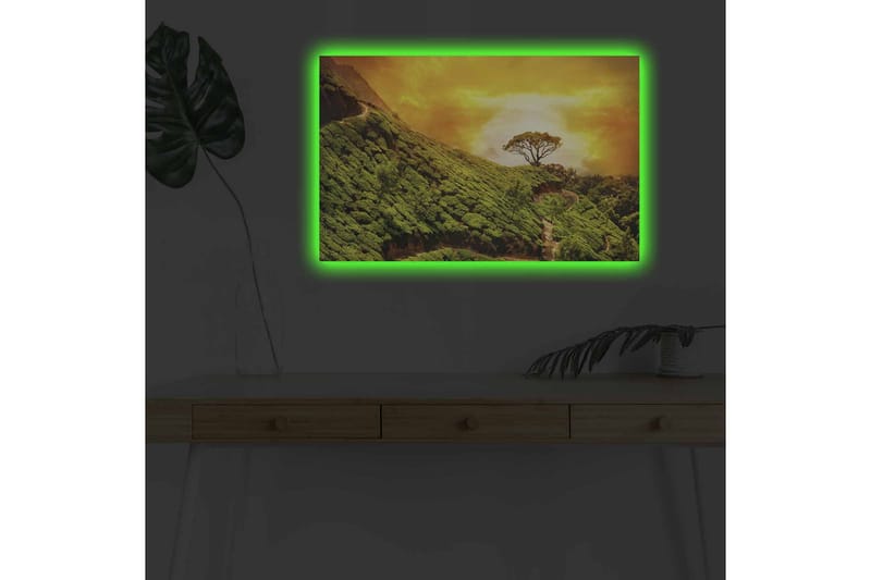 Lerretsbilde med LED-belysning - Frodig landskap med en ensom tretopp mot en gyllen himmel - Grønn / Gull / Brun - Innredning - Bilder & kunst - Lerretsbilder