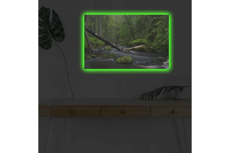 Lerretsbilde med LED-belysning - Frodig skog med en klukkende bekk - Grønn / Brun / Svart - Innredning - Bilder & kunst - Lerretsbilder