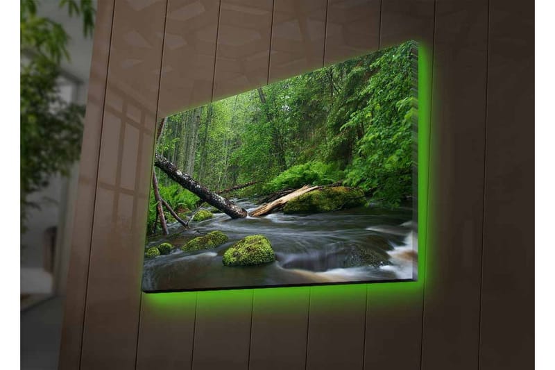 Lerretsbilde med LED-belysning - Frodig skog med en klukkende bekk - Grønn / Brun / Svart - Innredning - Bilder & kunst - Lerretsbilder