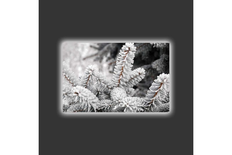 Lerretsbilde med LED-belysning - Frosne grantrær i vinterlandskap - Hvit / Grå / Brun - Innredning - Bilder & kunst - Lerretsbilder