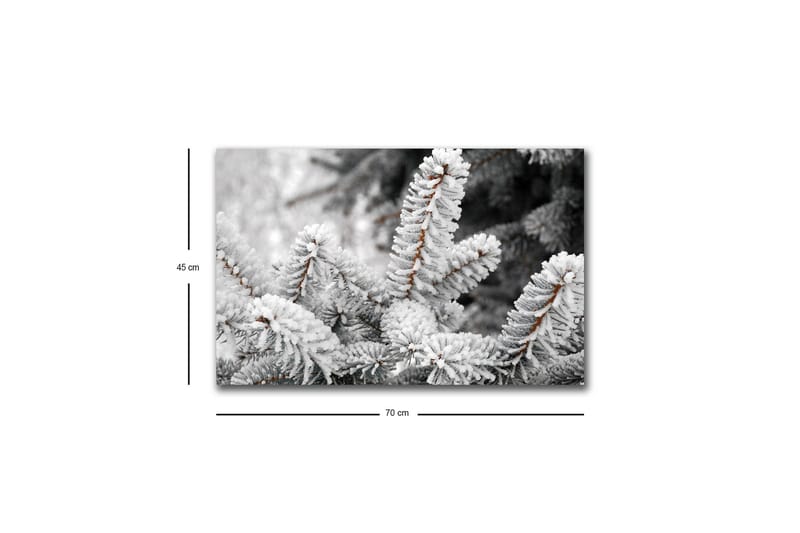 Lerretsbilde med LED-belysning - Frosne grantrær i vinterlandskap - Hvit / Grå / Brun - Innredning - Bilder & kunst - Lerretsbilder