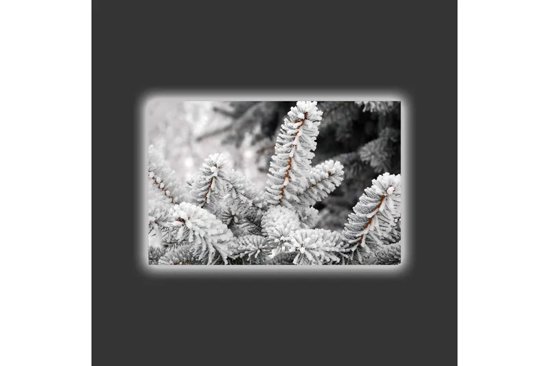 Lerretsbilde med LED-belysning - Frosne grantrær i vinterlandskap - Hvit / Grå / Brun - Innredning - Bilder & kunst - Lerretsbilder