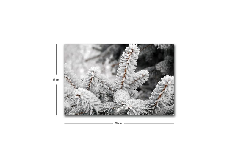 Lerretsbilde med LED-belysning - Frosne grantrær i vinterlandskap - Hvit / Grå / Brun - Innredning - Bilder & kunst - Lerretsbilder