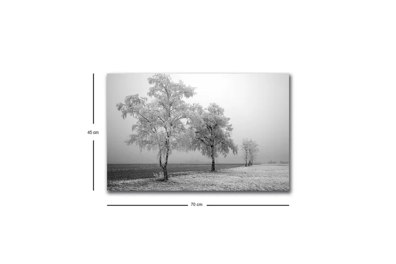 Lerretsbilde med LED-belysning - Frosne trær i et vinterlandskap - Hvit / Grå - Innredning - Bilder & kunst - Lerretsbilder