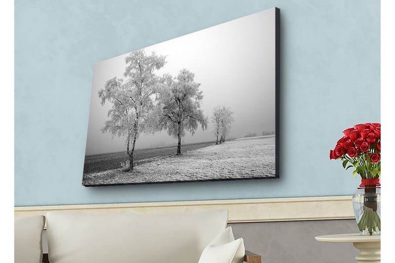 Lerretsbilde med LED-belysning - Frosne trær i et vinterlandskap - Hvit / Grå - Innredning - Bilder & kunst - Lerretsbilder