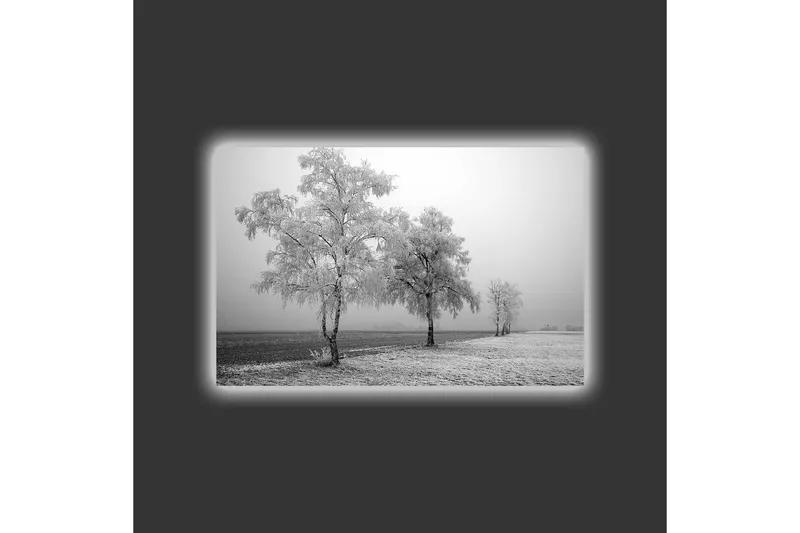 Lerretsbilde med LED-belysning - Frosne trær i et vinterlandskap - Hvit / Grå - Innredning - Bilder & kunst - Lerretsbilder