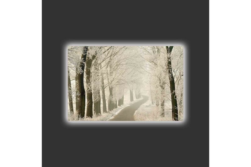 Lerretsbilde med LED-belysning - Frossen vei omgitt av snødekte trær - Hvit / Grå / Svart - Innredning - Bilder & kunst - Lerretsbilder