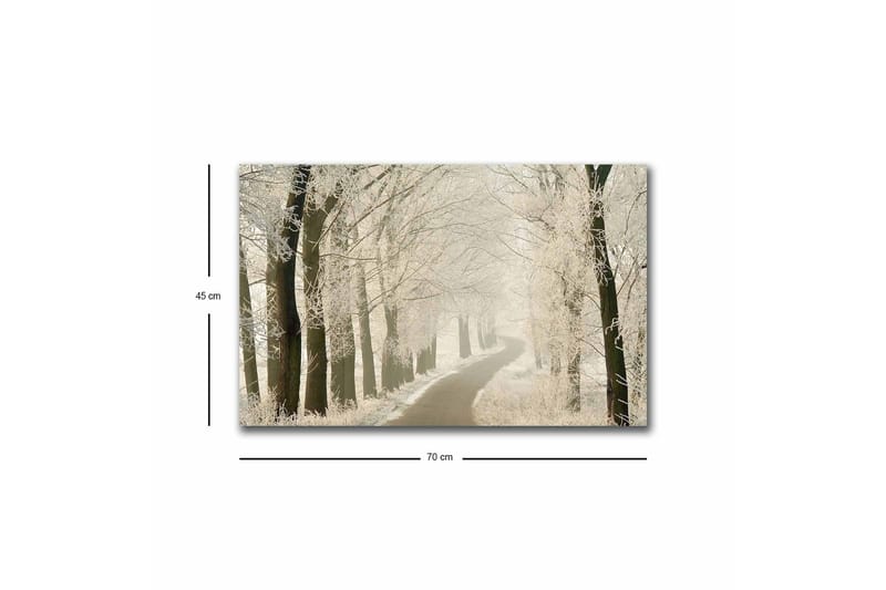 Lerretsbilde med LED-belysning - Frossen vei omgitt av snødekte trær - Hvit / Grå / Svart - Innredning - Bilder & kunst - Lerretsbilder