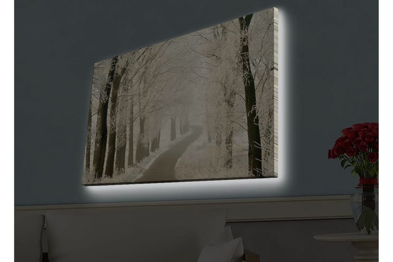 Lerretsbilde med LED-belysning - Frossen vei omgitt av snødekte trær - Hvit / Grå / Svart - Innredning - Bilder & kunst - Lerretsbilder