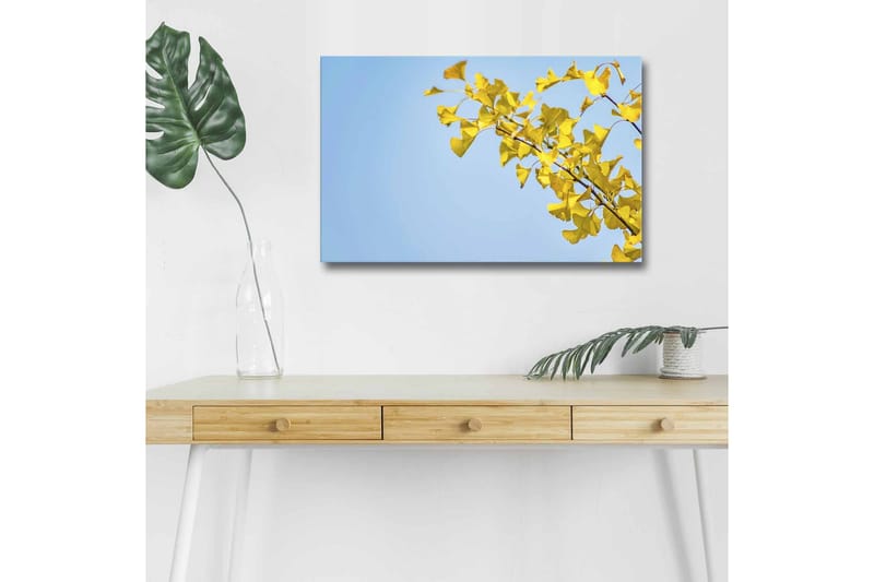 Lerretsbilde med LED-belysning - Ginkgoblader mot en klar blå himmel, Gul / Blå