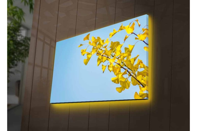 Lerretsbilde med LED-belysning - Ginkgoblader mot en klar blå himmel - Gul / Blå - Innredning - Bilder & kunst - Lerretsbilder