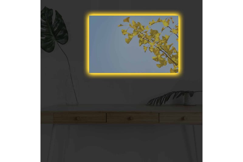 Lerretsbilde med LED-belysning - Ginkgoblader mot en klar blå himmel - Gul / Blå - Innredning - Bilder & kunst - Lerretsbilder