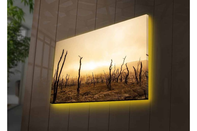 Lerretsbilde med LED-belysning - Goldt landskap med døde trestammer - Mørk brun / Beige / Grå - Innredning - Bilder & kunst - Lerretsbilder