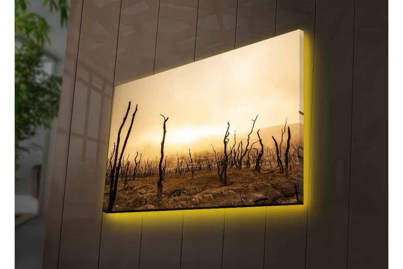 Lerretsbilde med LED-belysning - Goldt landskap med døde trestammer - Mørk brun / Beige / Grå - Innredning - Bilder & kunst - Lerretsbilder
