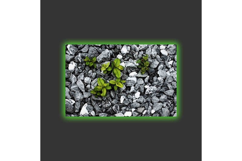 Lerretsbilde med LED-belysning - Grå steinete overflate med grønne planter som vokser ut - Grå / Grønn - Innredning - Bilder & kunst - Lerretsbilder