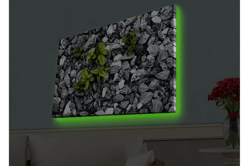 Lerretsbilde med LED-belysning - Grå steinete overflate med grønne planter som vokser ut - Grå / Grønn - Innredning - Bilder & kunst - Lerretsbilder