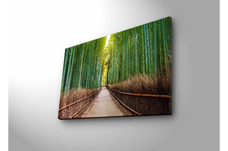 Lerretsbilde med LED-belysning - Grønn bambusskog med en sti som fører gjennom trærne - Grønn / Brun - Innredning - Bilder & kunst - Lerretsbilder