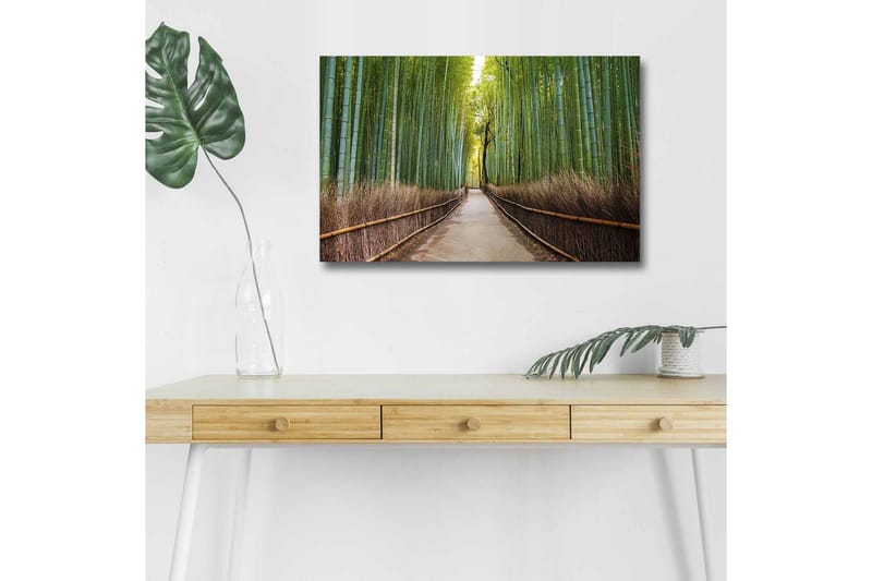 Lerretsbilde med LED-belysning - Grønn bambusskog med en sti som fører gjennom trærne, Grønn / Brun