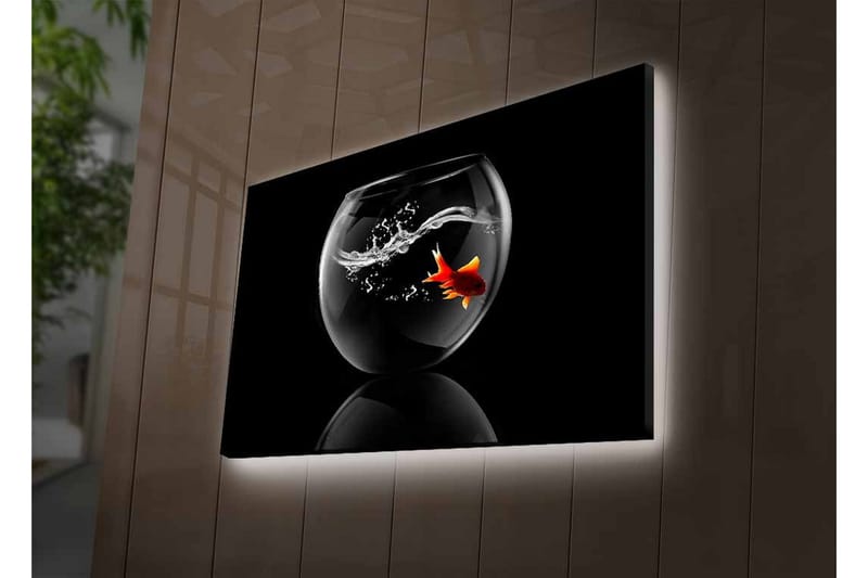 Lerretsbilde med LED-belysning - Gullfisk som svømmer i en glassbeholder med vannsprut - Svart / Rød / Gjennomsiktig - Innredning - Bilder & kunst - Lerretsbilder