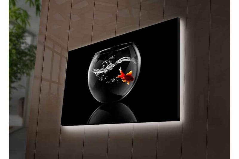 Lerretsbilde med LED-belysning - Gullfisk som svømmer i en glassbeholder med vannsprut - Svart / Rød / Gjennomsiktig - Innredning - Bilder & kunst - Lerretsbilder