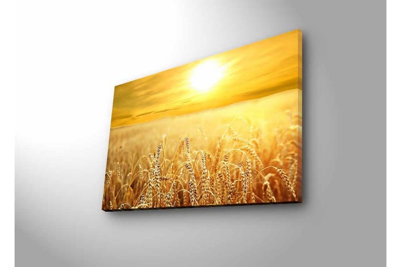 Lerretsbilde med LED-belysning - Gyldne hveteåkre under en solnedgang - Gull / Beige / Lys brun - Innredning - Bilder & kunst - Lerretsbilder
