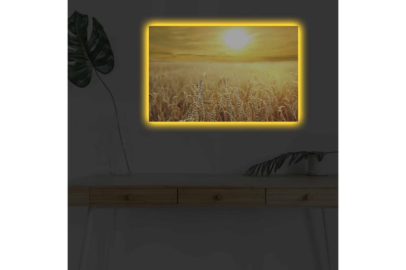 Lerretsbilde med LED-belysning - Gyldne hveteåkre under en solnedgang - Gull / Beige / Lys brun - Innredning - Bilder & kunst - Lerretsbilder