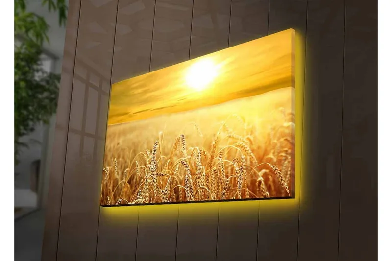 Lerretsbilde med LED-belysning - Gyldne hveteåkre under en solnedgang - Gull / Beige / Lys brun - Innredning - Bilder & kunst - Lerretsbilder