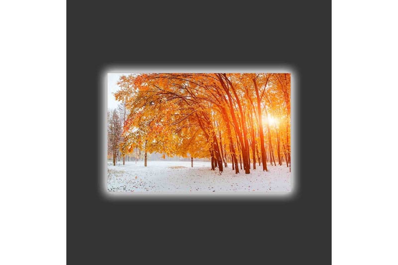 Lerretsbilde med LED-belysning - Gyllen høstskog med solstråler som skinner gjennom trærne - Oransje / Gull / Hvit - Innredning - Bilder & kunst - Lerretsbilder