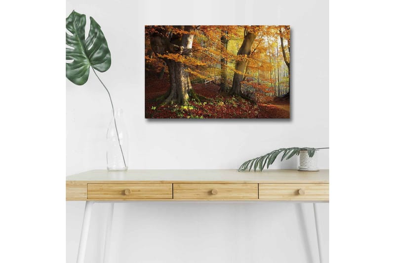 Lerretsbilde med LED-belysning - Høstlandskap med fargerike trær og blader - Oransje / Brun / Grønn - Innredning - Bilder & kunst - Lerretsbilder