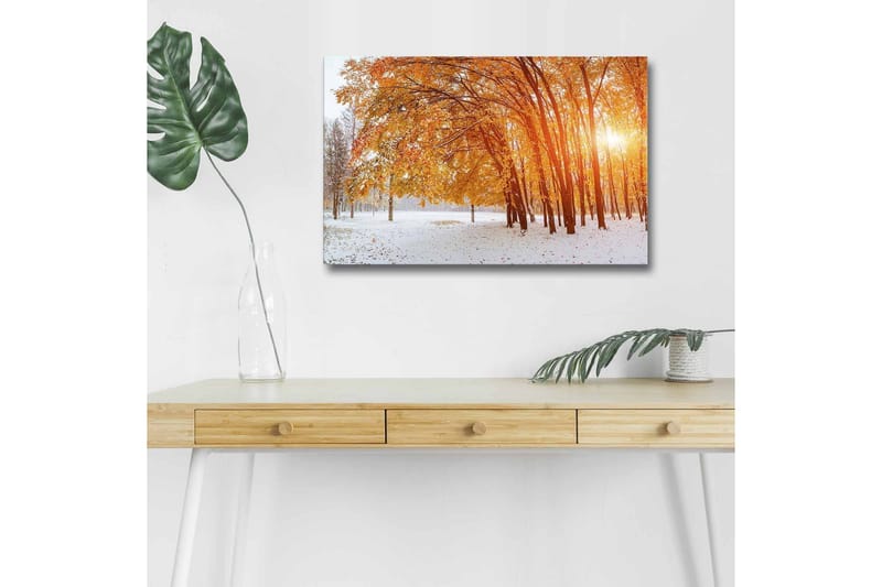 Lerretsbilde med LED-belysning - Høstlandskap med gylne trær i et snødekt miljø - Gull / Hvit / Brun - Innredning - Bilder & kunst - Lerretsbilder