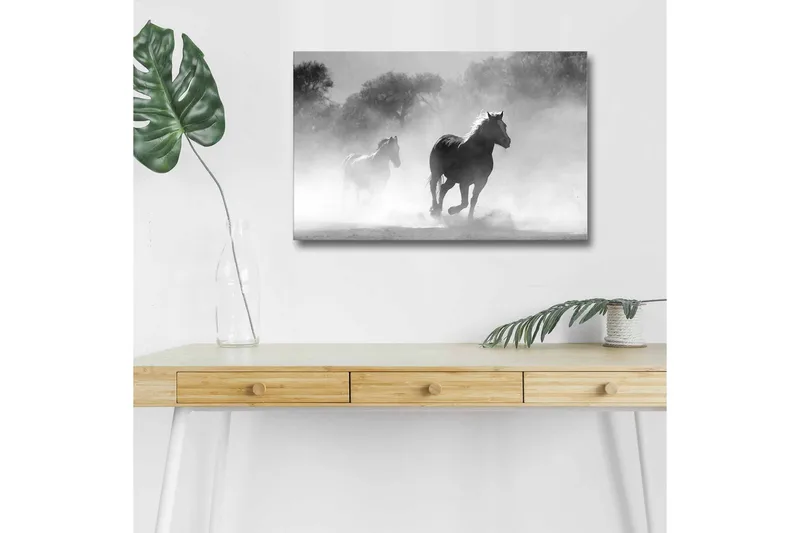 Lerretsbilde med LED-belysning - Hester galopperer gjennom tåke - Svart / Hvit / Grå - Innredning - Bilder & kunst - Lerretsbilder