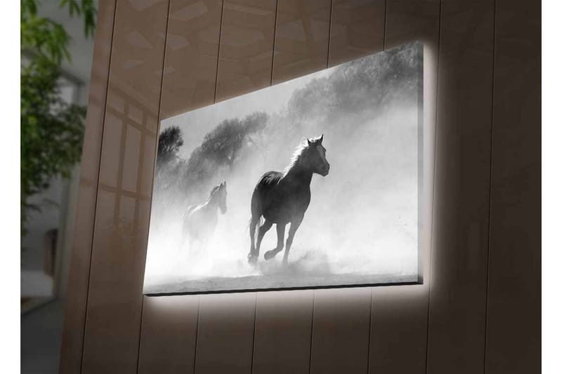 Lerretsbilde med LED-belysning - Hester galopperer gjennom tåke - Svart / Hvit / Grå - Innredning - Bilder & kunst - Lerretsbilder