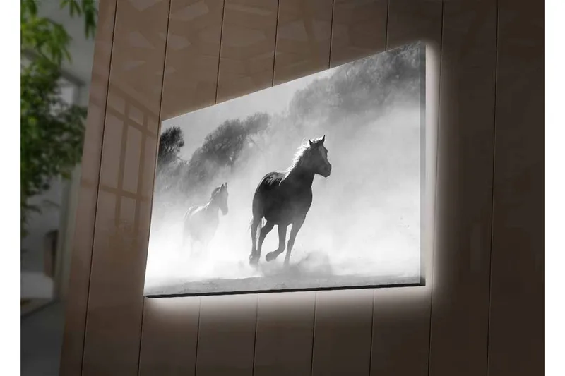 Lerretsbilde med LED-belysning - Hester galopperer gjennom tåke - Svart / Hvit / Grå - Innredning - Bilder & kunst - Lerretsbilder