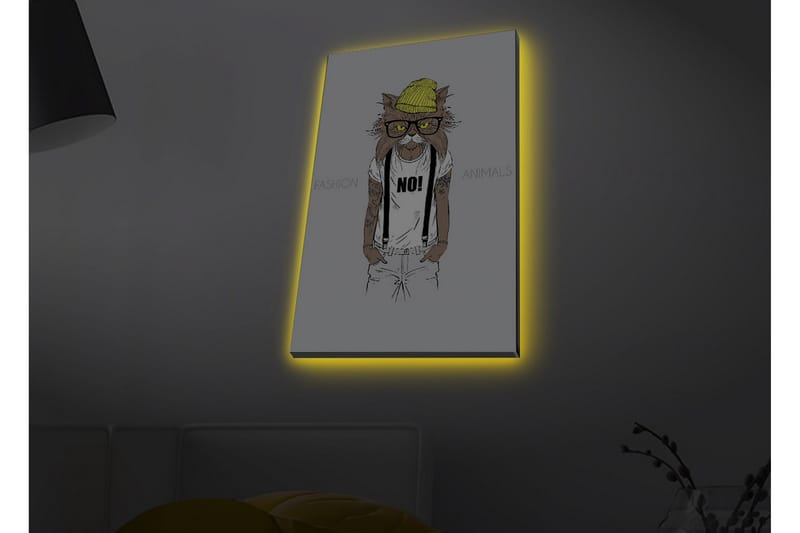Lerretsbilde med LED-belysning - Hipster-stil katt i klær og briller - Gul / Brun / Hvit - Innredning - Bilder & kunst - Lerretsbilder