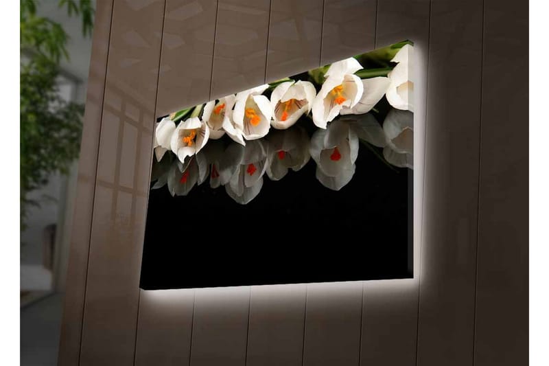 Lerretsbilde med LED-belysning - Hvit blomsterbukett med refleksjon på svart bakgrunn - Hvit / Oransje / Grønn - Innredning - Bilder & kunst - Lerretsbilder