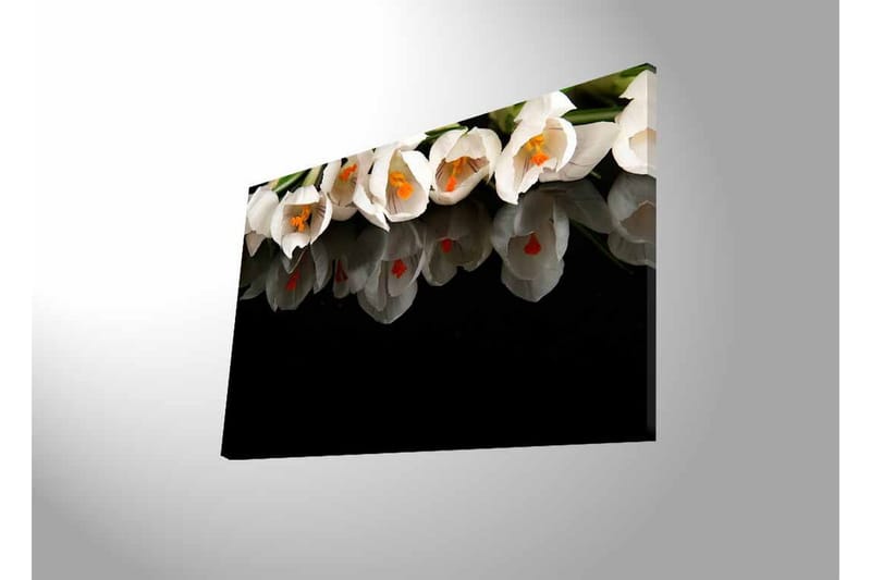 Lerretsbilde med LED-belysning - Hvit blomsterbukett med refleksjon på svart bakgrunn - Hvit / Oransje / Grønn - Innredning - Bilder & kunst - Lerretsbilder