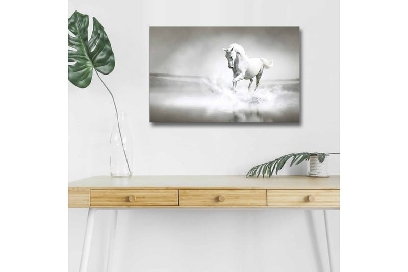 Lerretsbilde med LED-belysning - Hvit hest som spruter vann i tåkete omgivelser - Hvit / Grå - Innredning - Bilder & kunst - Lerretsbilder