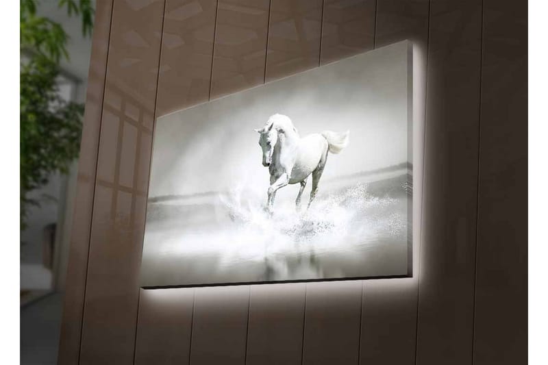 Lerretsbilde med LED-belysning - Hvit hest som spruter vann i tåkete omgivelser - Hvit / Grå - Innredning - Bilder & kunst - Lerretsbilder